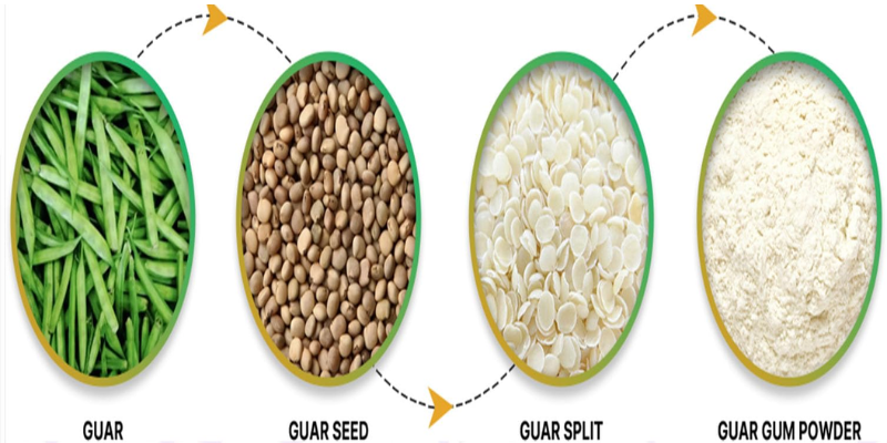 untitled design (11)